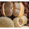 C061 - Seed