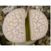C251 - Seed